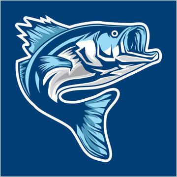 illustration of a fish