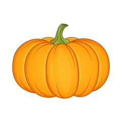 Pumpkin Vector Illustration isolated on white background