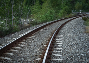 Obraz premium Empty railroad track going into a forest, outdoor landscape. Perspective view