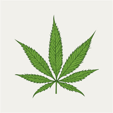 cannabis leaf