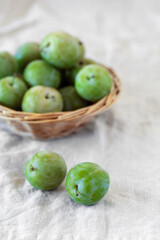 Reine Claude green plums in a wicker basket