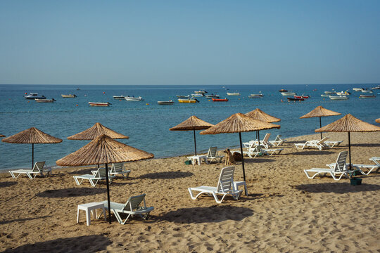 clean beach in istanbul city. sandy beach with wooden umbrellas in turkey. private club promenade for villa residents