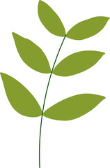 Fototapeta premium tropical leaf illustration. green house plant design element