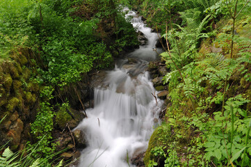 Wasserfall Bach Alm Schweiz