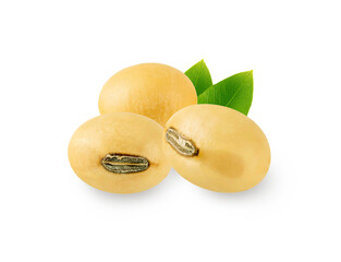 Close up, Soybeans with leaves isolated on white background.