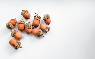 Acorns in white
