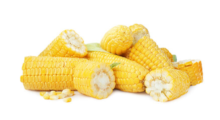 Many fresh corncobs with grains on white background