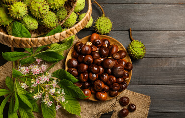 Plate of fresh chestnuts, leaves and flower on dark wooden background
