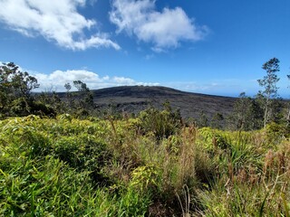 Sky Cloud Plant Natural landscape Highland Tree