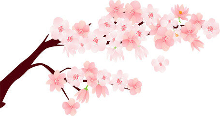 Obraz na płótnie Canvas Bunch of flowers with Cherry blossom cartoon character
