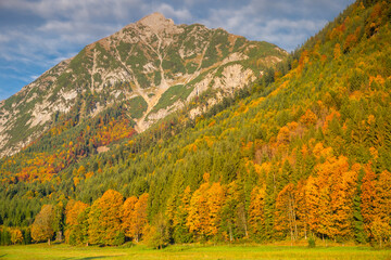 Pine trees in Alps at autumn sunrise, Karwendel mountains in Innsbruck, Tyrol