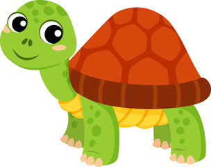 Sea turtle isolate marine animal cartoon character