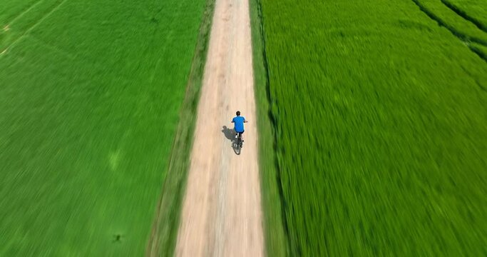 Summer ride by bike by a man who is driving along a green field, filmed from the back, tracked by a drone