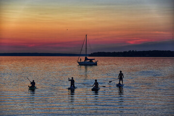 Paddle boarders come back to land during sunset