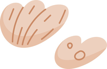 Sand decoration seashell beige conch, marine sink