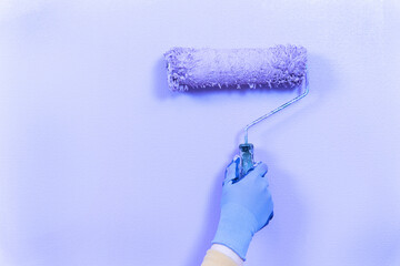 Hand of a handyman in a blue rubber work glove holds a roller and paints wall in room in purple, close up, front view. Process of apartment renovation and decoration.