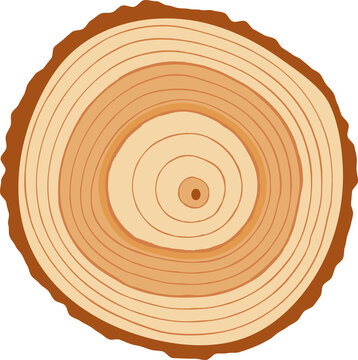 Cartoon tree trunk of birch, oak or pine wood cut