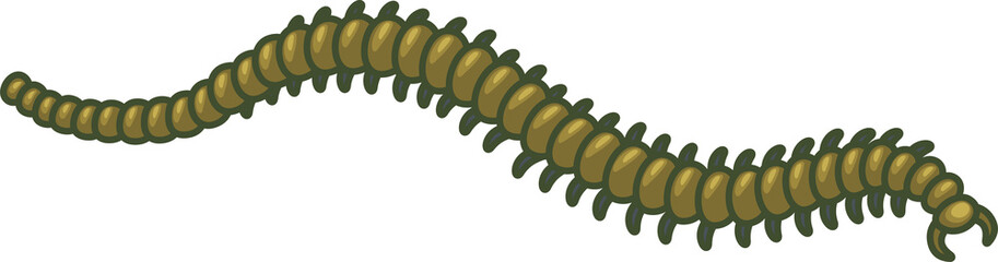 Crawling worm isolated caterpillar insect parasite