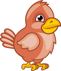 Small baby duck isolated brown goose domestic bird