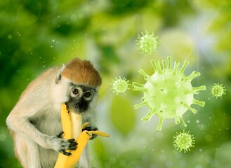 Monkeypox outbreak concept. The spread from wild animals. The virus flies