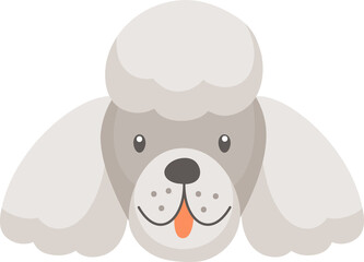 White poodle dog face portrait isolated head mask