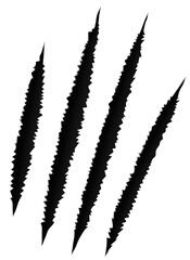 Scratches of claw, animals nails trace on paper