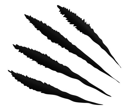 Claws Ripping Through Images – Browse 1,728 Stock Photos, Vectors, and ...