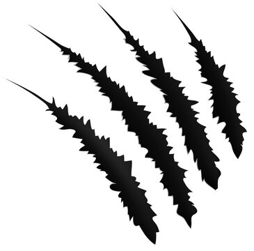 Ripped cut on paper scratches of claw animals nail