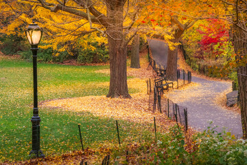 Central Park in New York City at golden autumn, United States