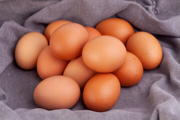 chicken eggs put on fabric gray