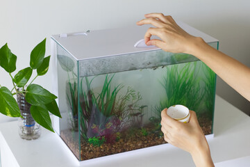 水槽の中の熱帯魚に餌をやる女性の手元