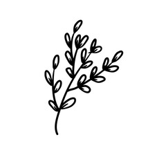 Aesthetic botanical wedding leaf