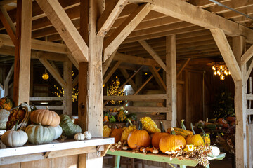 Pumpkins inside rustic barn © Schaefer Photography
