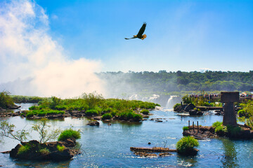 パラグアイ側から見たイグアスの滝の絶景 - obrazy, fototapety, plakaty