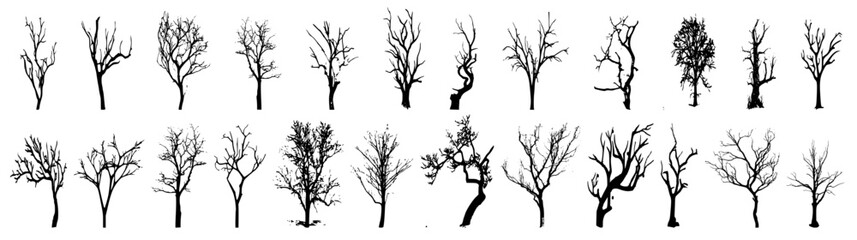 Fototapeta Winter trees silhouettes collection. Set of isolated vector design elements.. Hand drawn illustration in sketch style. Nature template. Clipart. obraz