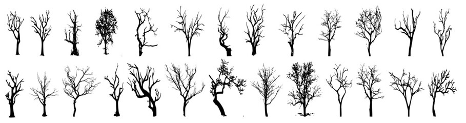 Fototapeta na wymiar Winter trees silhouettes collection. Set of isolated vector design elements.. Hand drawn illustration in sketch style. Nature template. Clipart.