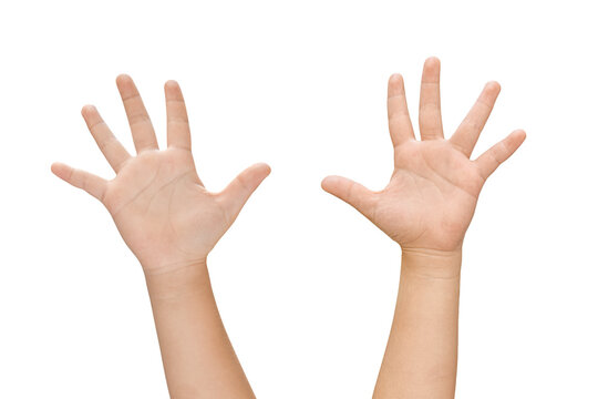 child hands raised up gesture Isolated on white background with clipping path.