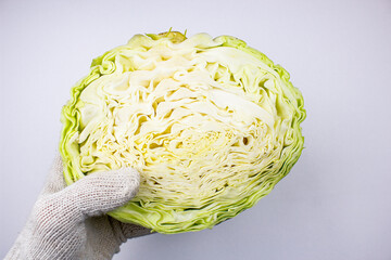 Obraz premium The farmer holds white cabbage on a white isolated background.