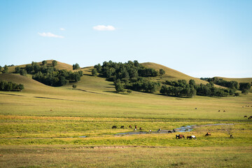 Obraz premium Wulan Butong Grassland in the autumn