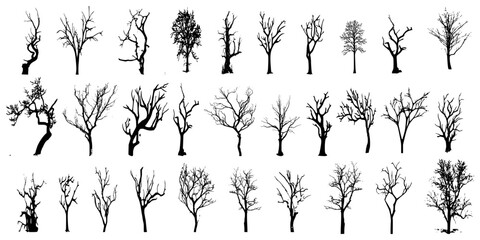 collection of trees vector on white background	