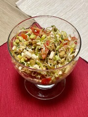 Veggie homemade salad with sprouted lentils and small beans