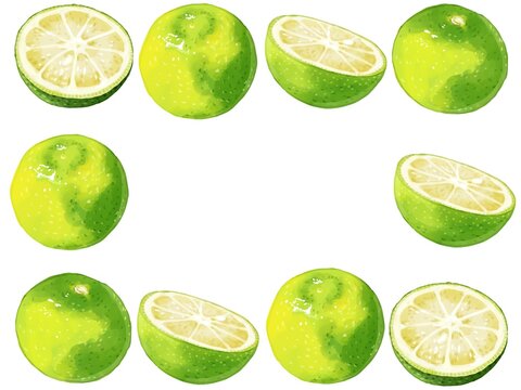すだち の画像 3 759 件の Stock 写真 ベクターおよびビデオ Adobe Stock
