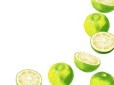 すだち の画像 4 471 件の Stock 写真 ベクターおよびビデオ Adobe Stock