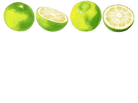 すだち の画像 3 996 件の Stock 写真 ベクターおよびビデオ Adobe Stock