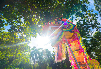 A head of Chinese Dragon dance in the Chinese new year festival. Lion and dragon dance during...