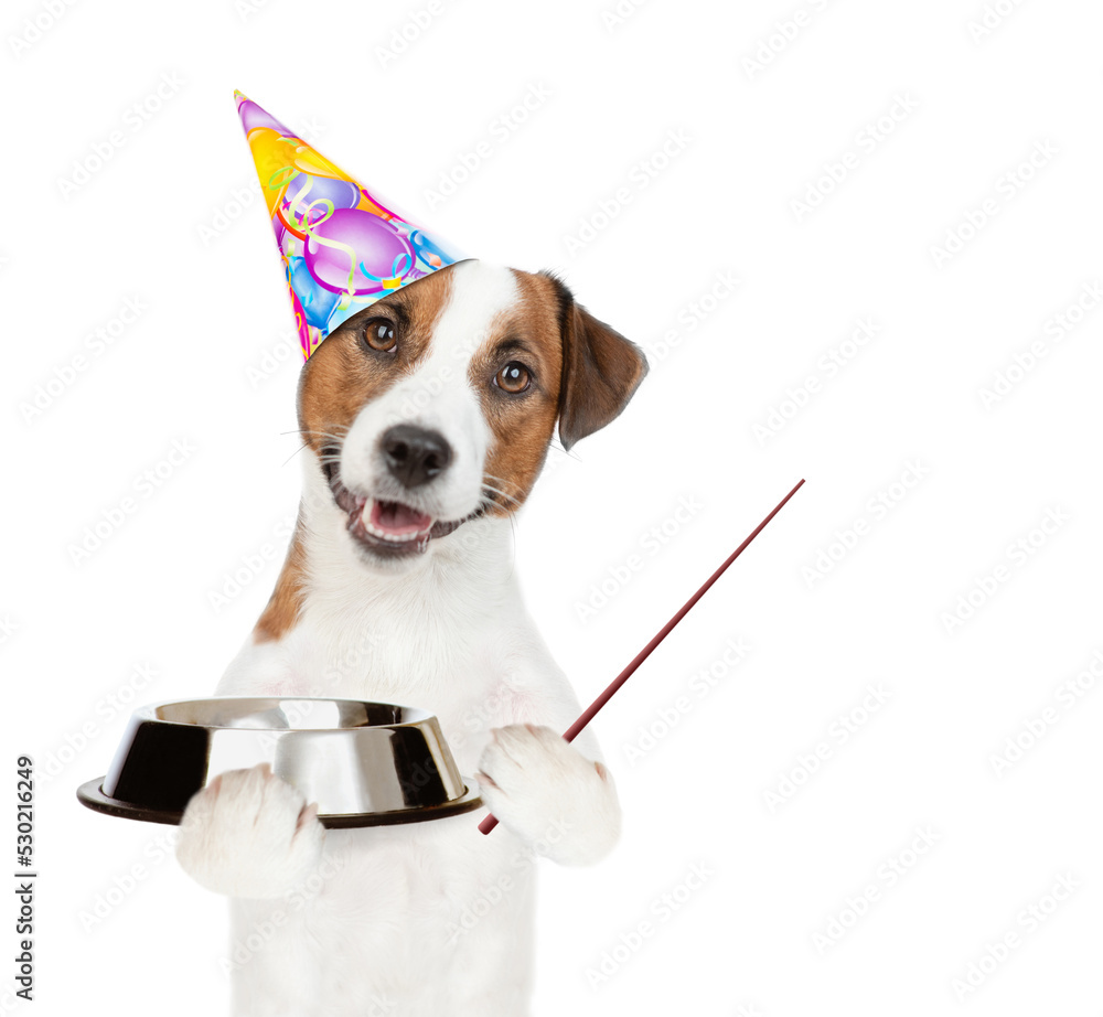 Poster jack russell terrier puppy wearing party cap holds empty bowl and points away on empty space. isolat