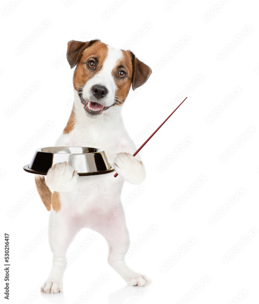 Poster hungry jack russell terrier puppy holds empty bowl and points away on empty space. isolated on white