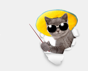 Winking cat wearing sunglasses and summer hat looking through the hole in white paper and points away on empty space