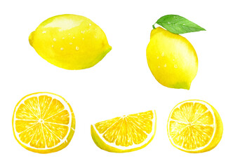 Watercolor illustration of lemon set	with transparent background