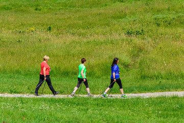 Nordic Walking-Workout an einem sonnigen Tag im Grünen